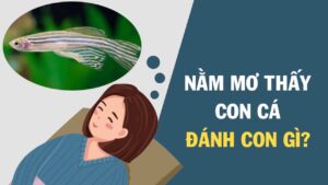 Điềm báo cụ thể của từng giấc mơ thấy cá