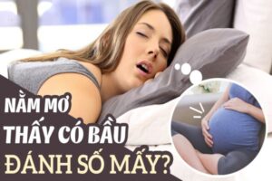 Điềm báo của giấc mơ thấy có bầu là gì?